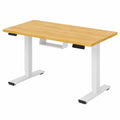 Scrivania Ergonomica Regolabile FLEXISPOT con Gestione Cavi e Ganci, Piano Unico 100x60 cm in Acero