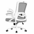 Poltrona Ergonomica per Ufficio, Supporto Lombare 4D, Braccioli e Schienale Regolabili, Rete Traspirante, Ruote Silenziose, Grigio